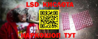 Альфа ПВП Гусев