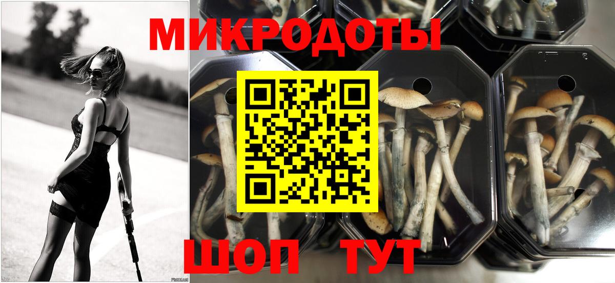Галлюциногенные грибы Magic Shrooms Миллерово